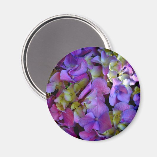 マゼンタパープルアジサイ紫ブルーイエロー マグネット (正面/裏面)