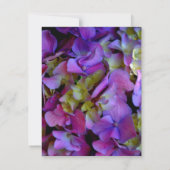 マゼンタパープルブルーイエローアジサイ花 サンキューカード (裏面)