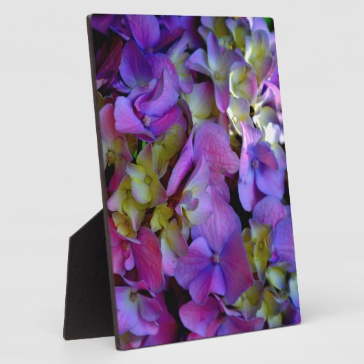 マゼンタパープルブルーイエローアジサイ花 フォトプラーク (側面)