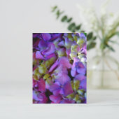 マゼンタパープルブルーイエローアジサイ花 ポストカード (スタンド正面)