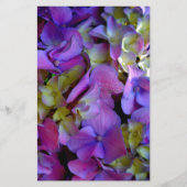 マゼンタパープルブルーイエローアジサイ花 便箋 (正面)