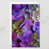 マゼンタパープルブルーイエローアジサイ花 便箋 (正面/裏面)