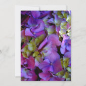マゼンタパープルブルーイエローアジサイ花 招待状 (裏面)