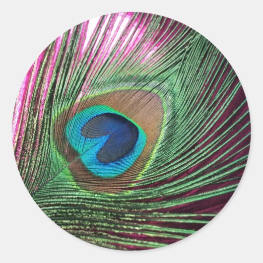 マゼンタピーコック ラウンドシール (正面)