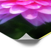 マゼンタフラワーポスター ポスター (角)