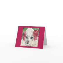 マゼンタプードル