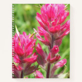 マゼンタペイントブラシ開花フローラ ノートブック (正面)