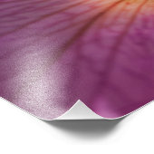 マゼンタ色の花 フォトプリント            (角)