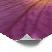 マゼンタ色の花 ポスター (角)