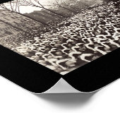 マソニックテンプルデトロイト写真1920 ポスター (角)