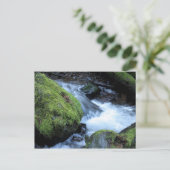 マソン・クリークのポストカード ポストカード (スタンド正面)