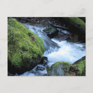 マソン・クリークのポストカード ポストカード