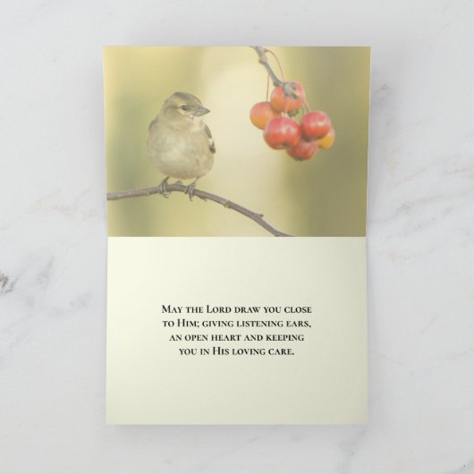 マタイによる福音書第6章26節の鳥は種を蒔かず、刈り取るのではない。 カード (内部)