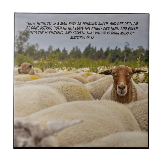 マタイ18:12 タイル (正面)