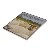 マタイ18:12 タイル (側面)