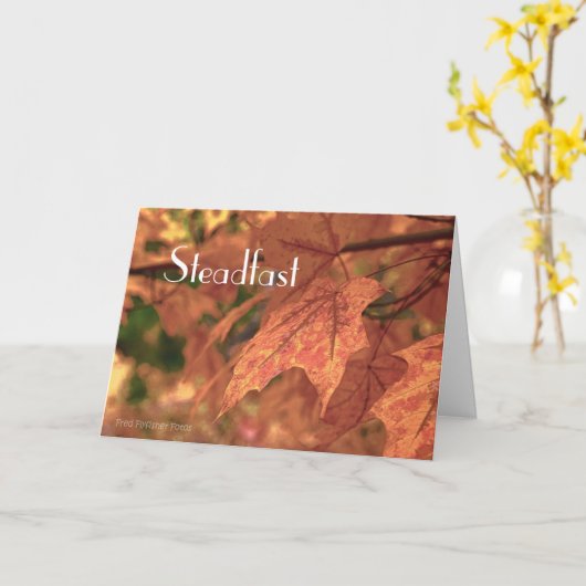 マタイ24:35 カード (黄色い花)