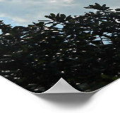 マタイ25:13だから見よ、知っておいて….. ポスター (角)