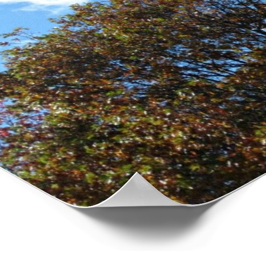 マタイ28:'19だから行って弟子になれ… ポスター (角)