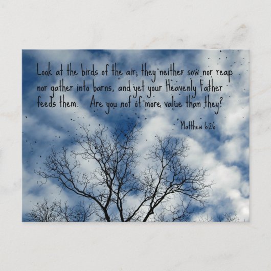 マタイ6:26空中の鳥を見よ… ポストカード (正面)