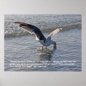 マタイ6:26聖なる書物、 経典ポスター ポスター (正面)