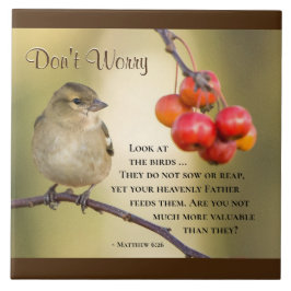 マタイ6:26聖書の聖句、心配するな タイル