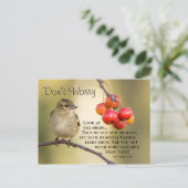 マタイ6:26聖書の聖句、心配するな ポストカード (スタンド正面)