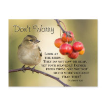 マタイ6:26聖書の聖句、心配するな