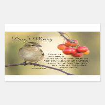 マタイ6:26聖書の聖句、心配するな