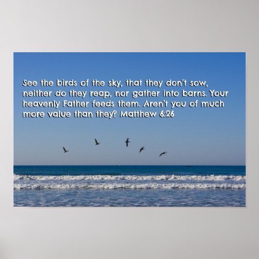 マタイ6:26 ポスター (正面)