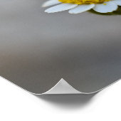 マタイ6:27-29ポスター ポスター (角)