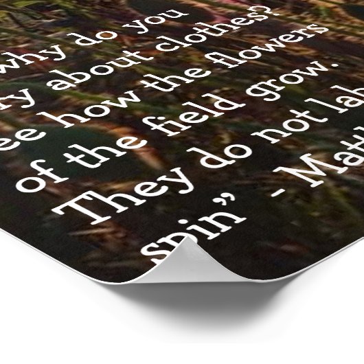 マタイ6:28夕暮れのケシ ポスター (角)