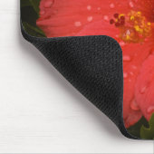 マタイ6:28-29ハイビスカス マウスパッド (コーナー)