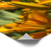 マタイ6:28-29 ポスター (角)