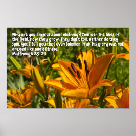 マタイ6:28-29 ポスター
