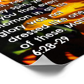 マタイ6:28-29 ポスター (角)