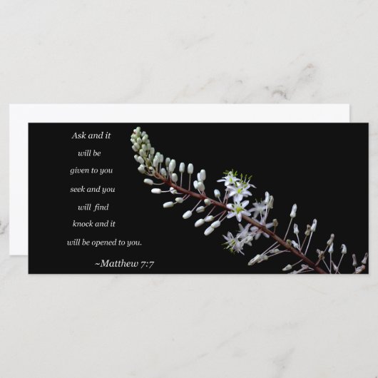 マタイ7:7 (正面/裏面)