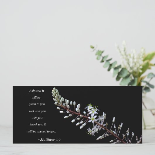 マタイ7:7 (スタンド正面)