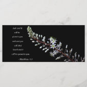 マタイ7:7 (正面)