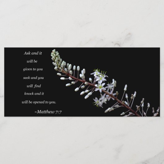 マタイ7:7 (正面)