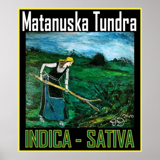 マタヌスカトゥンドラ(MATANUSKA TUNDRA INDICA SATIVA) ポスター (正面)
