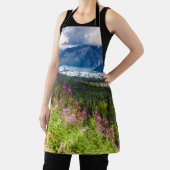 マタヌスカバレー、サウスセントラルアラスカ エプロン (インサイチュ)