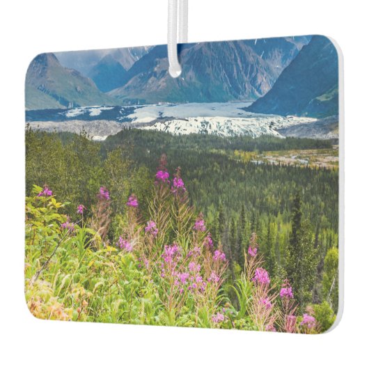 マタヌスカバレー、サウスセントラルアラスカ カーエアーフレッシュナー (左)