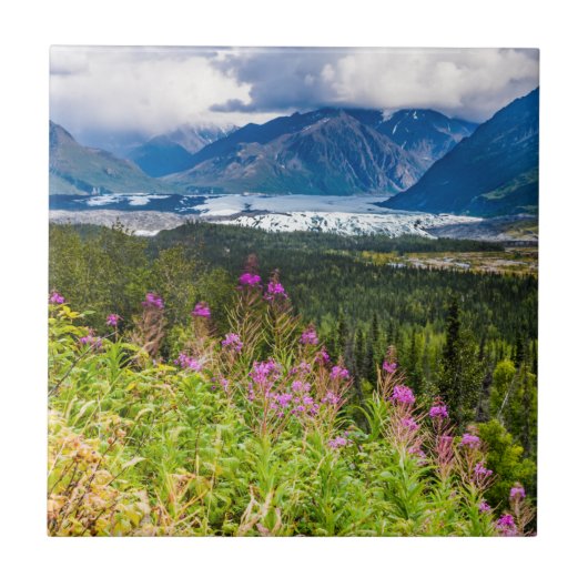 マタヌスカバレー、サウスセントラルアラスカ タイル (正面)