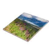 マタヌスカバレー、サウスセントラルアラスカ タイル (側面)