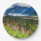 マタヌスカバレー、サウスセントラルアラスカ ペーパープレート (正面)