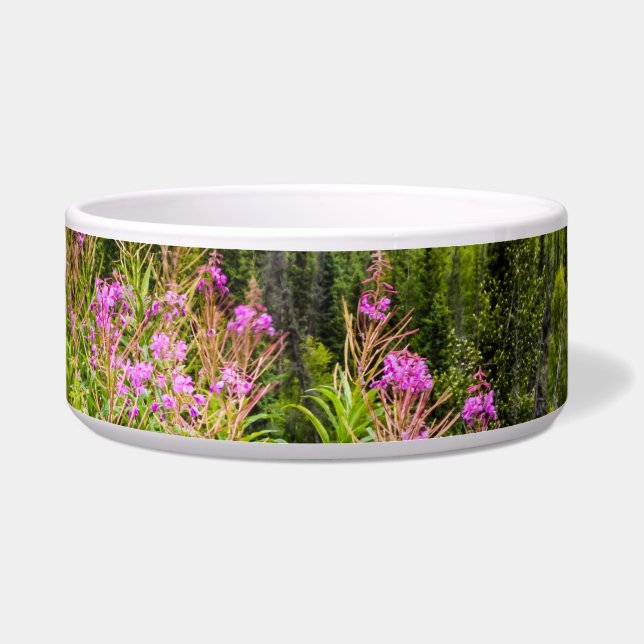 マタヌスカバレー、サウスセントラルアラスカ ボウル (正面)