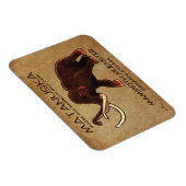 マタヌスカマンモスミュンスターチーズ マグネット (右側)