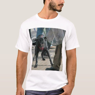 マタパコス Tシャツ