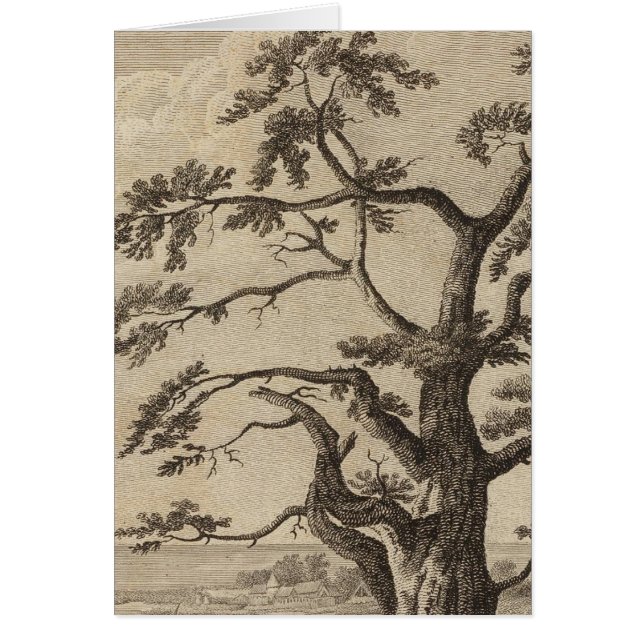 マタヴィア湾，オタハイテ島，タヒチ (正面)