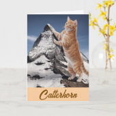 マターホルン虎猫 カード (黄色い花)